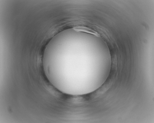 X0000115740278200911252006