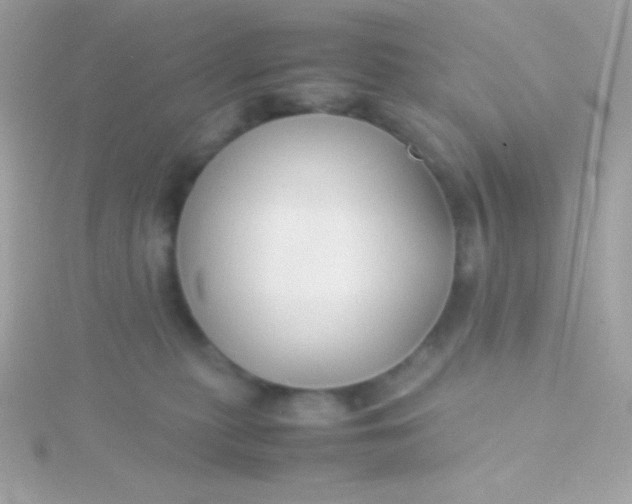 X0000115740279200911252006