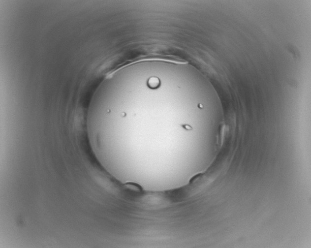 X0000115740280200911252006