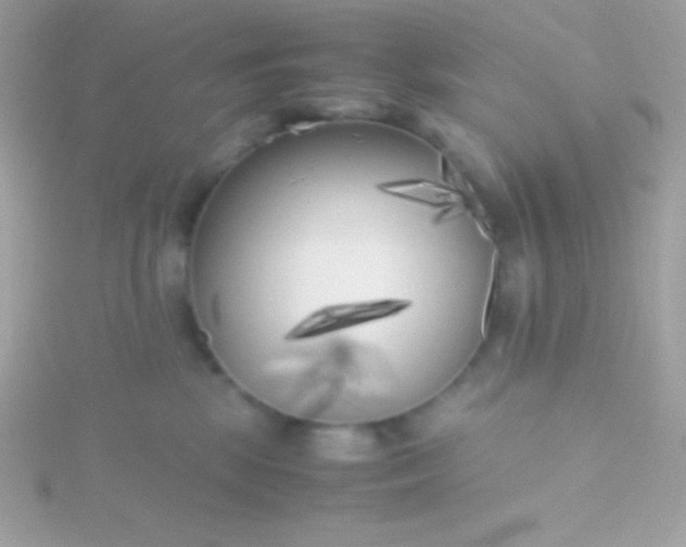 X0000115740281200911252006