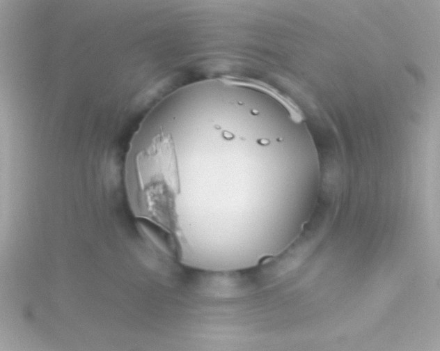 X0000115740282200911252006