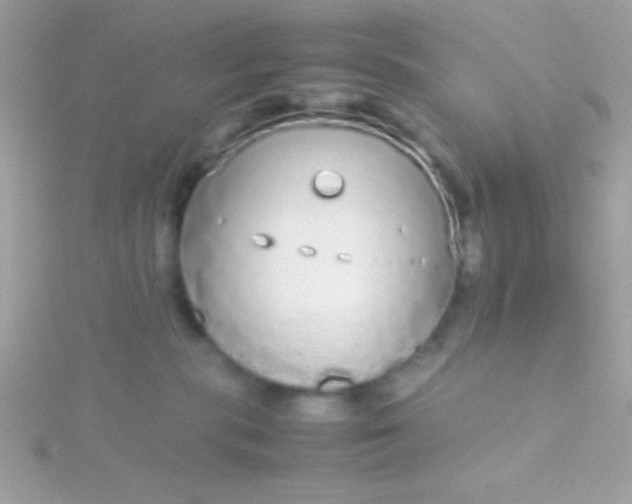 X0000115740283200911252006