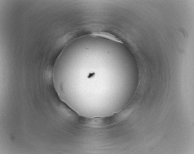 X0000115740288200911252006