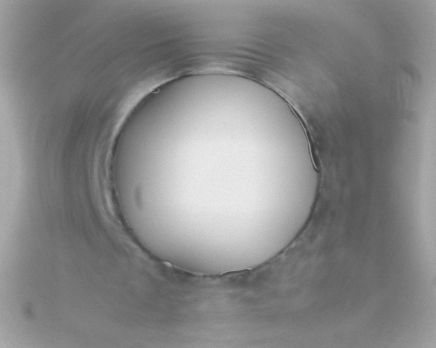 X0000115740289200911252006