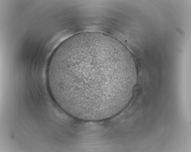 X0000115740290200911252006