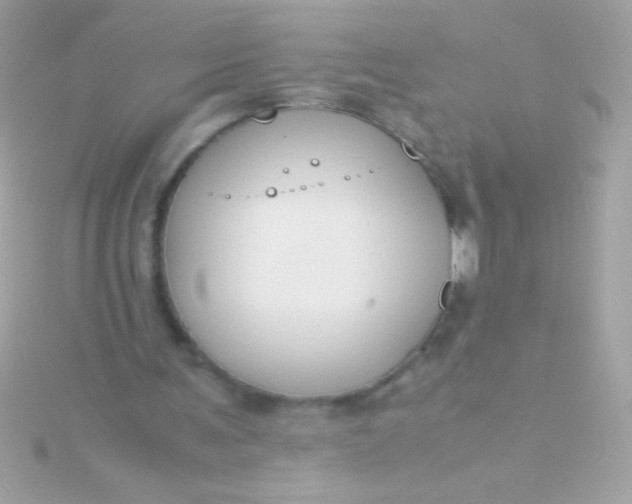 X0000115740291200911252005