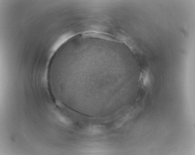 X0000115740292200911252005