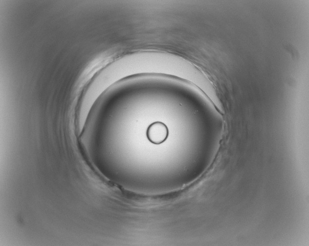 X0000115740293200911252005