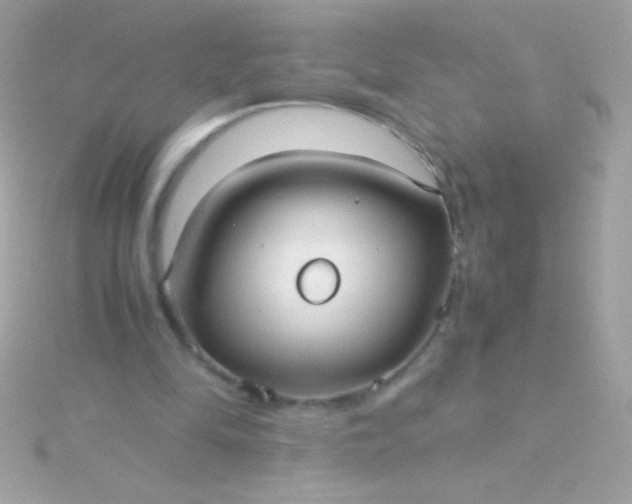 X0000115740294200911252005