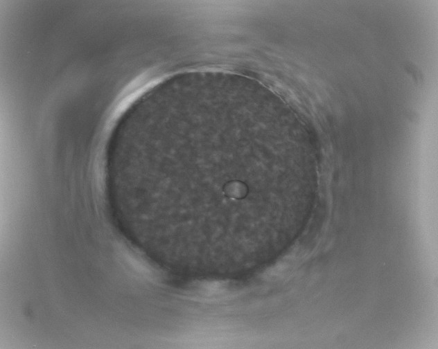 X0000115740295200911252005