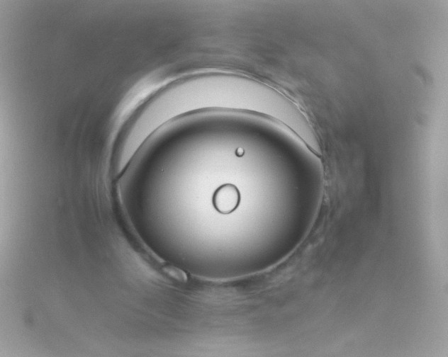 X0000115740296200911252005