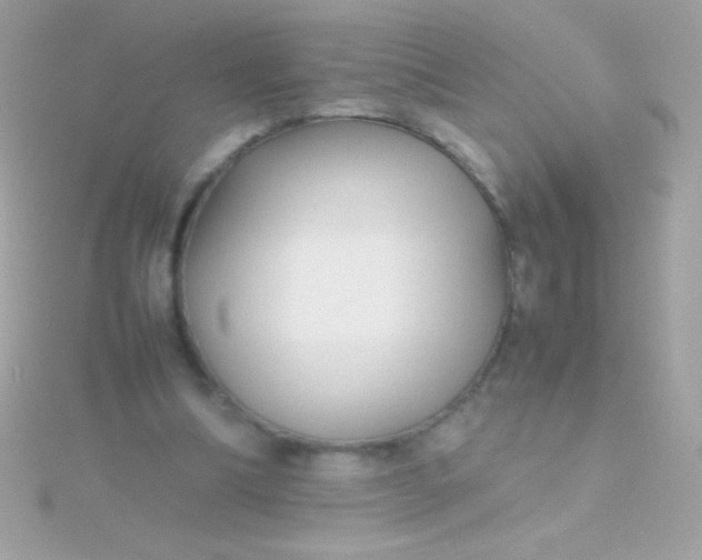 X0000115740298200911252005