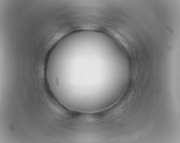 X0000115740299200911252005