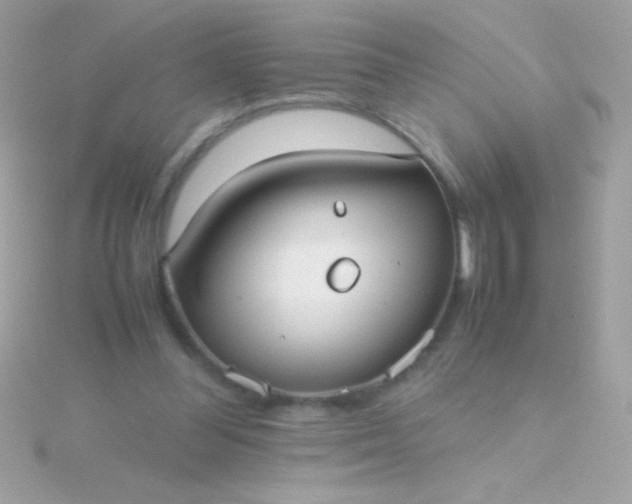 X0000115740300200911252005