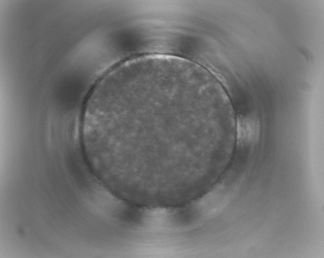 X0000115740301200911252005