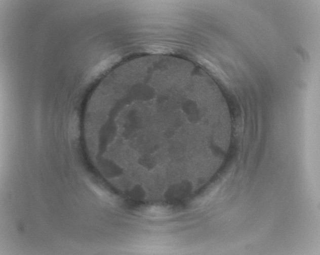 X0000115740303200911252005