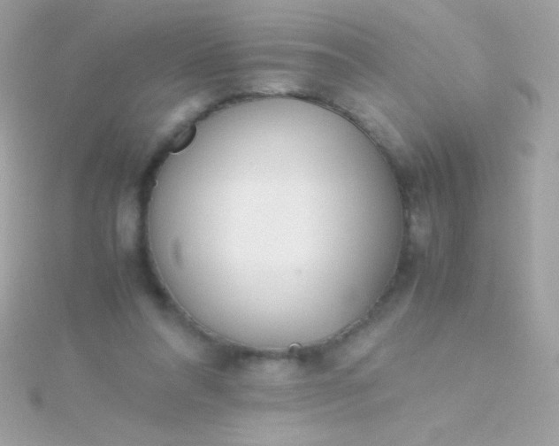 X0000115740304200911252005