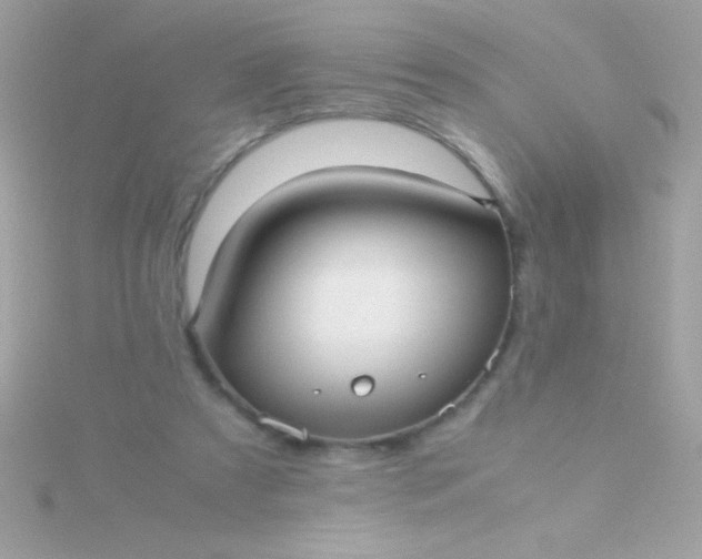 X0000115740305200911252005