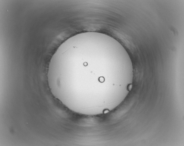 X0000115740307200911252005