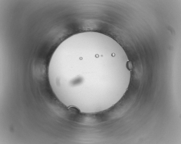 X0000115740308200911252005