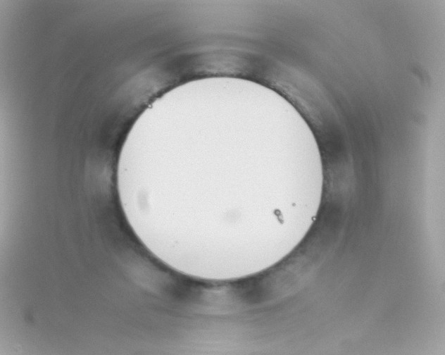 X0000115740309200911252005