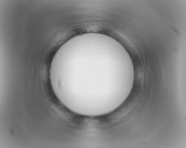 X0000115740311200911252005