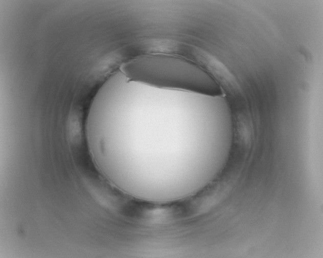 X0000115740312200911252005