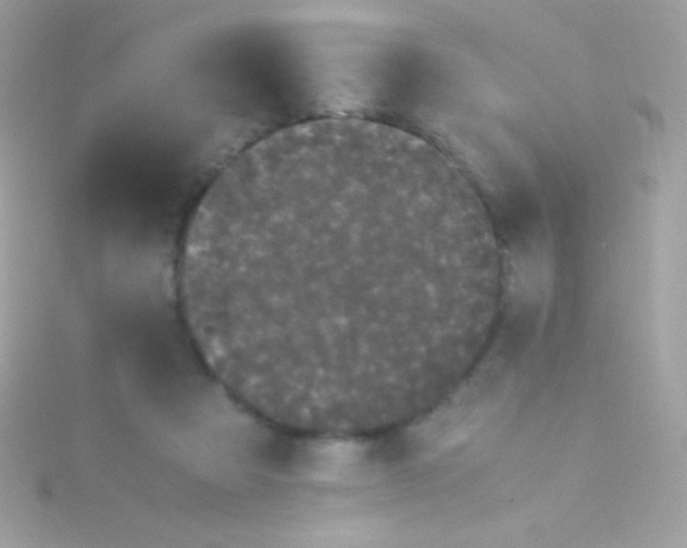 X0000115740313200911252005