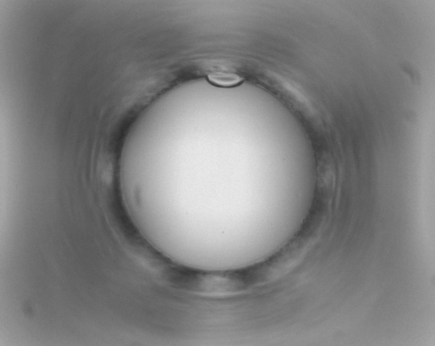 X0000115740315200911252005