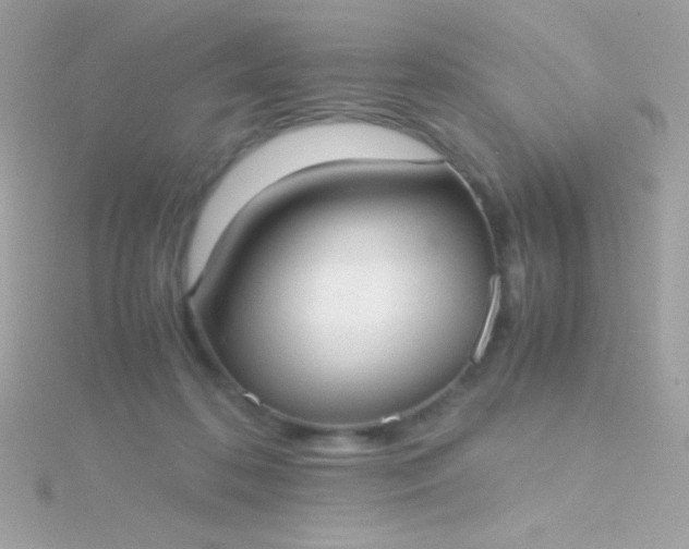 X0000115740316200911252005