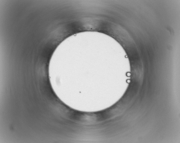 X0000115740317200911252005