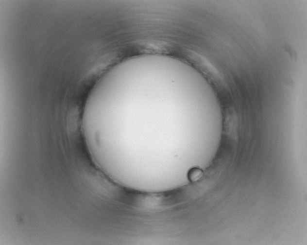 X0000115740318200911252005