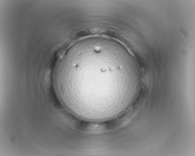 X0000115740319200911252005