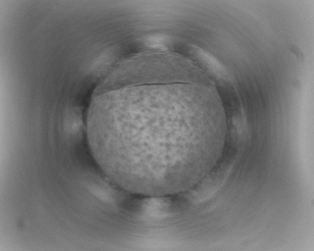 X0000115740320200911252005