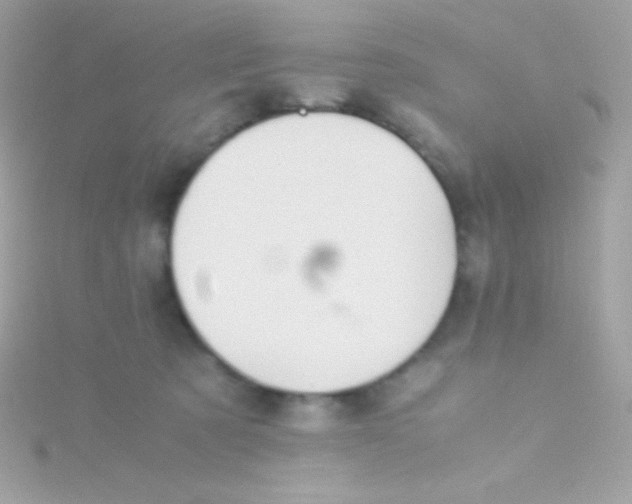 X0000115740321200911252005