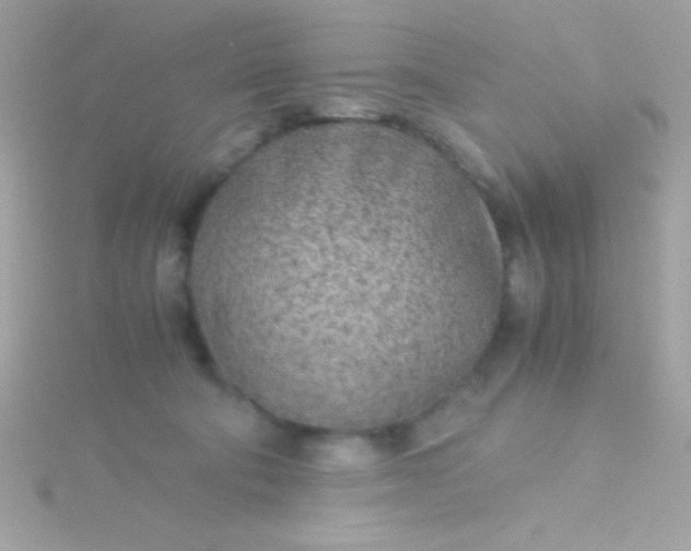 X0000115740322200911252005