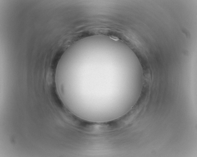 X0000115740323200911252005