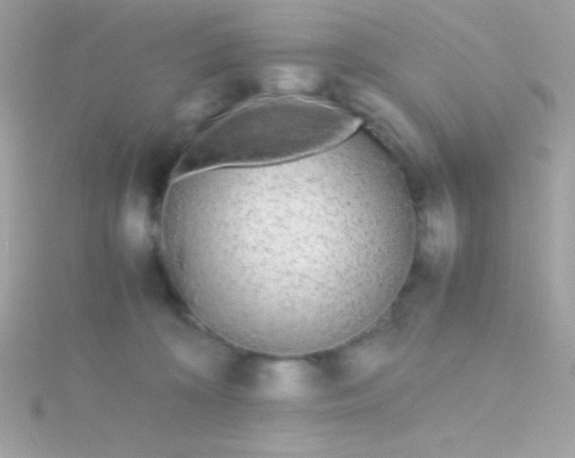 X0000115740324200911252005