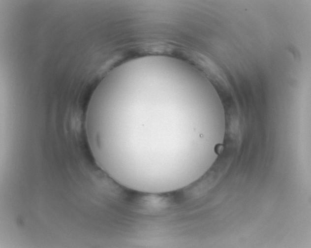 X0000115740326200911252005