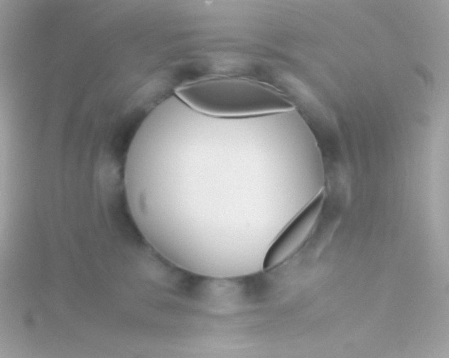 X0000115740327200911252005