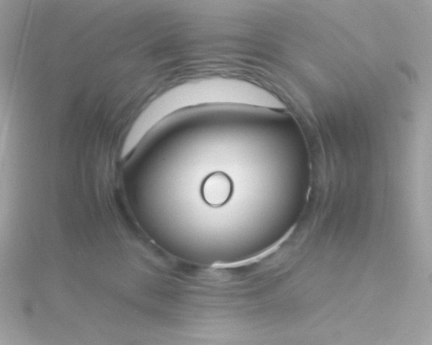 X0000115740328200911252005