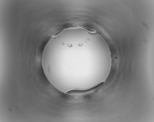 X0000115740329200911252005