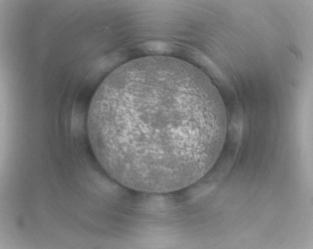 X0000115740330200911252005