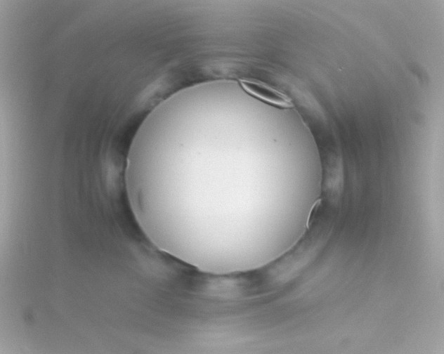 X0000115740332200911252005