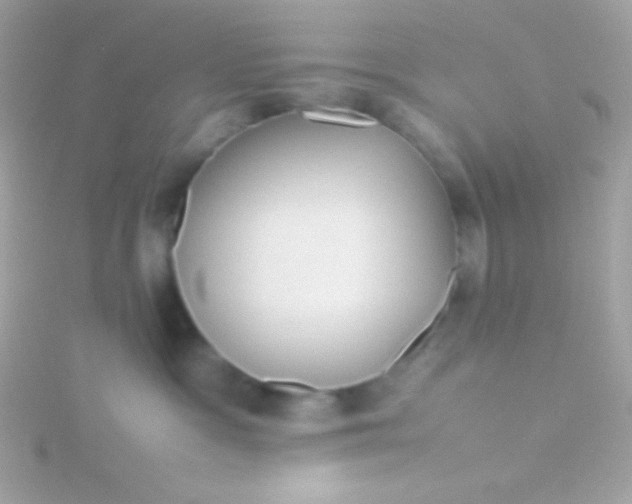 X0000115740333200911252005