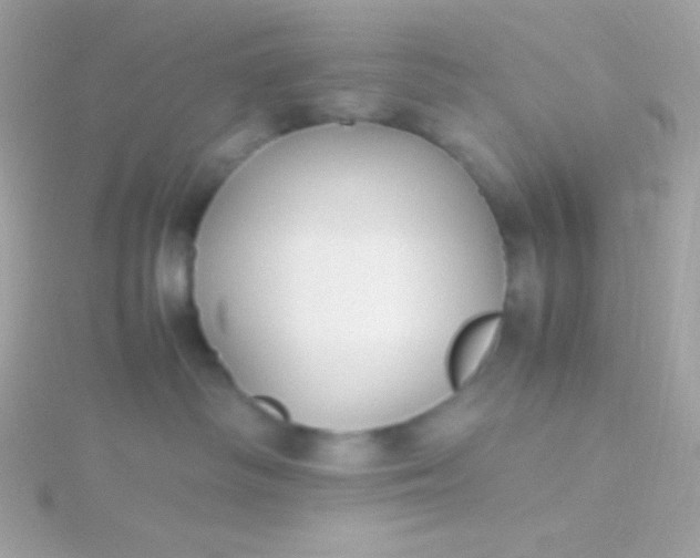 X0000115740334200911252005