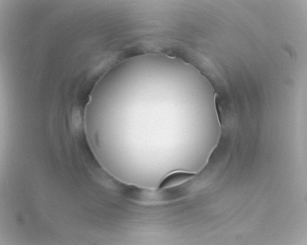 X0000115740335200911252005