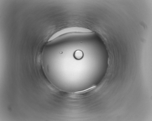 X0000115740336200911252005