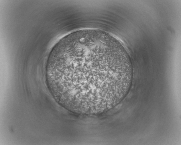 X0000115740337200911252004