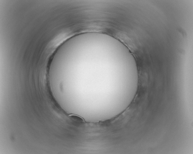 X0000115740338200911252004